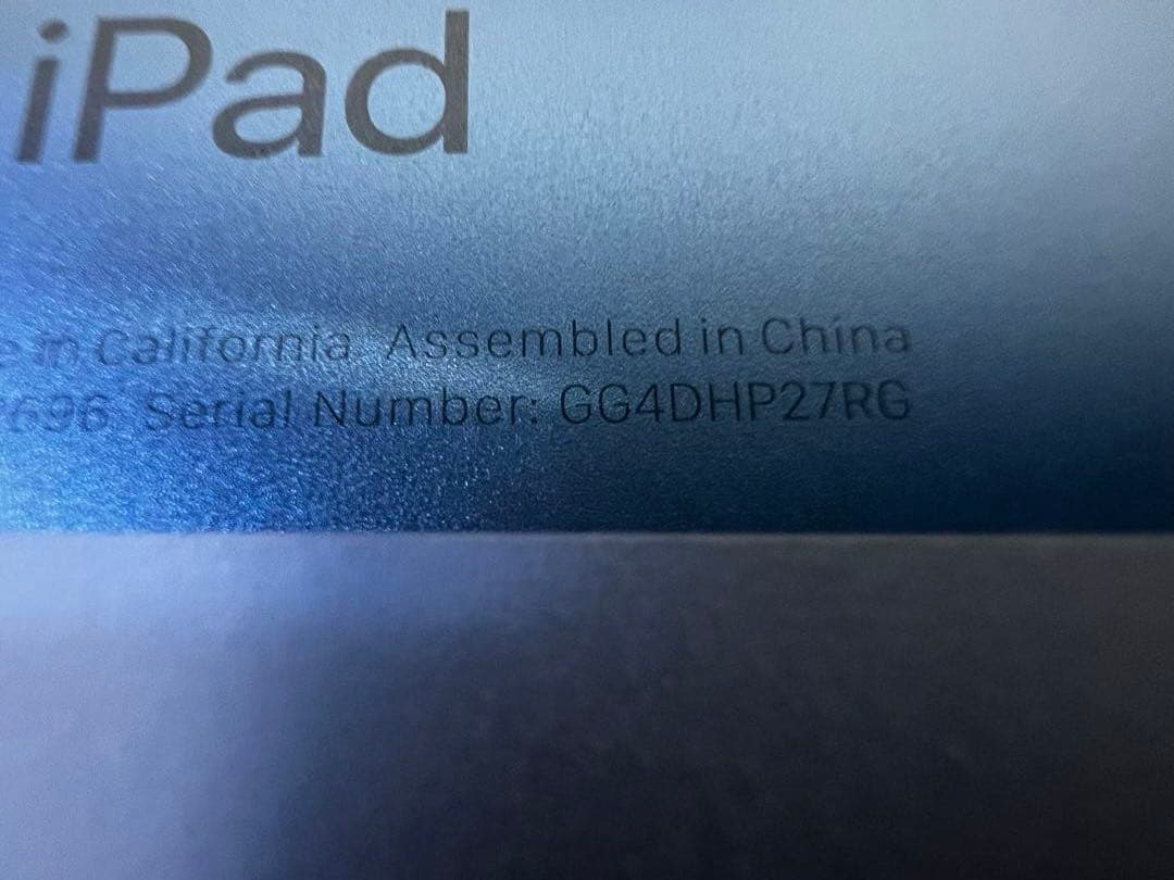 新品 Apple iPad 本体 ブルー64GB WiFi 第10世代