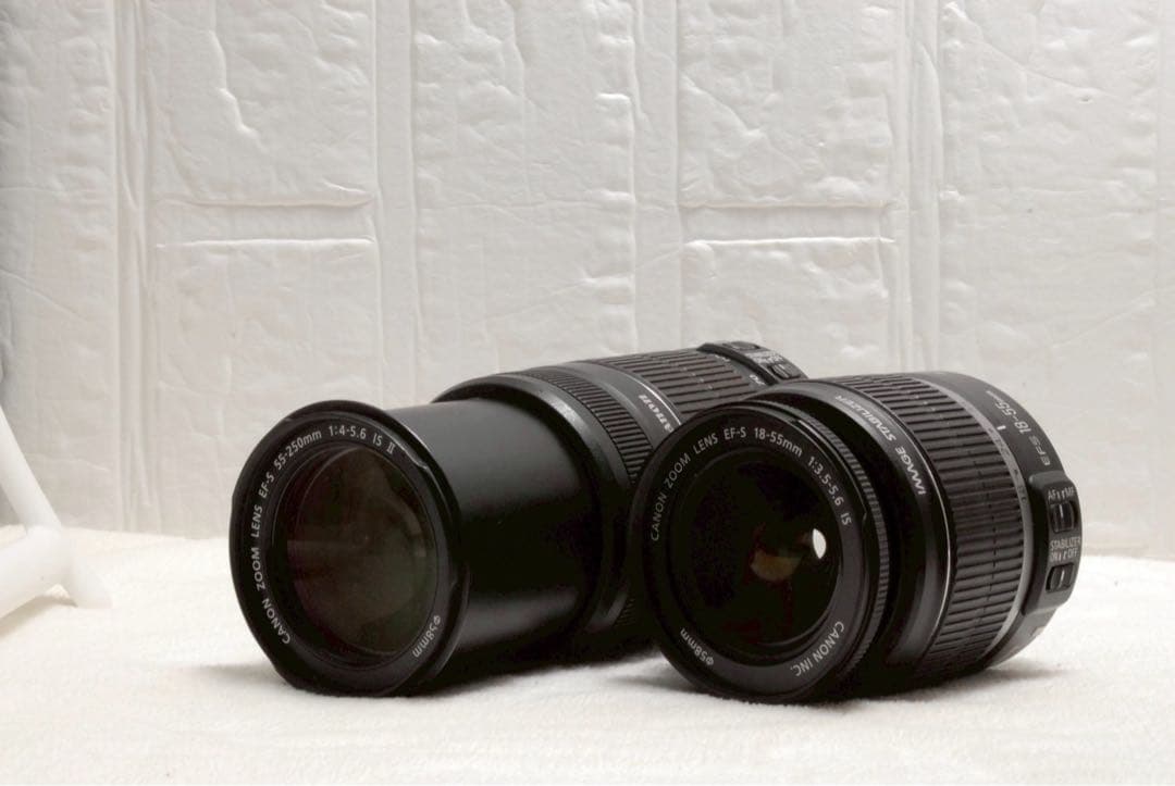 ⭐️Canon EF-S 55-250mm、18-55mmダブルレンズ⭐️