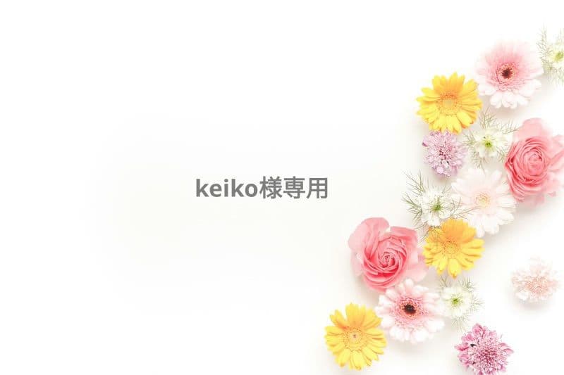(keiko)ハンドメイド メガネケース2点
