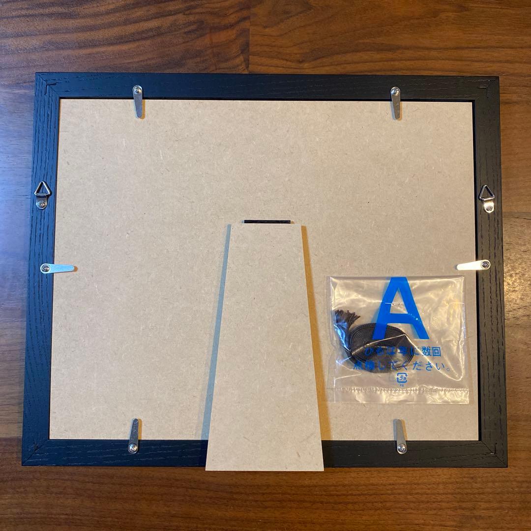 佐藤琢磨 インディカー・シリーズ 初優勝記念額装品 2013年ロングビーチGP