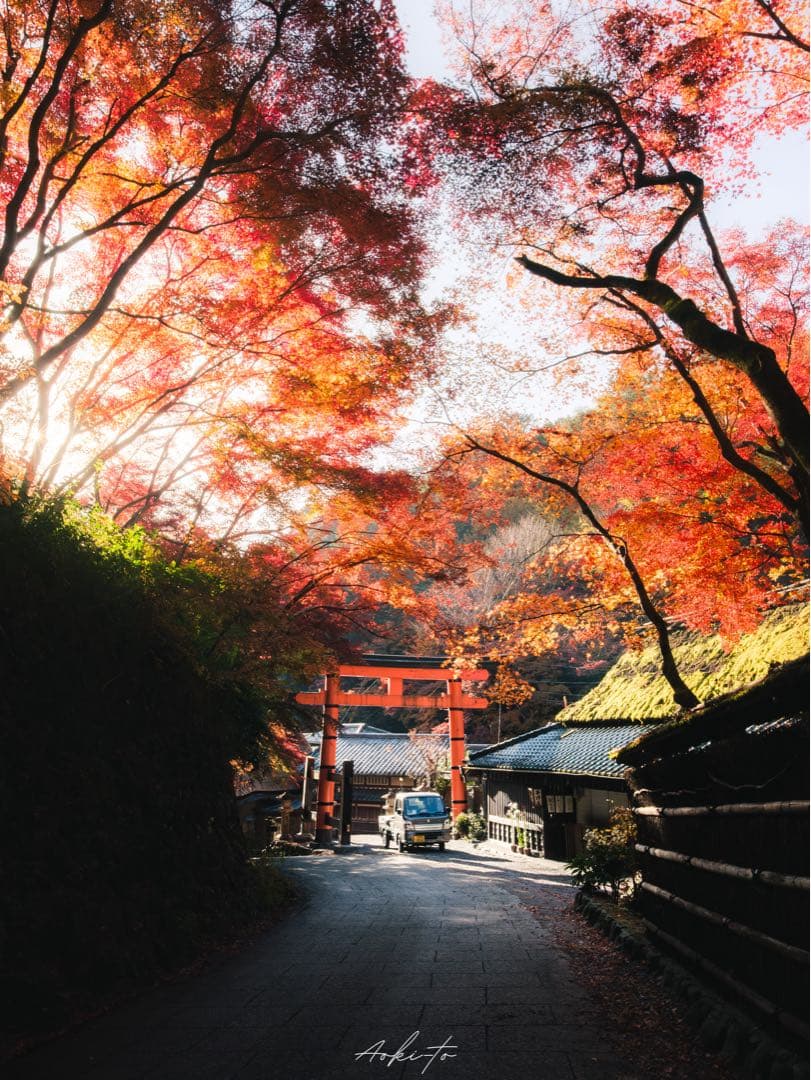 作例あり VILTROX 13mm F1.4 XF 富士フイルムx fuji