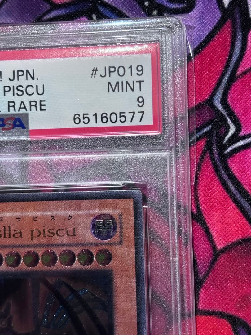 遊戯王【極美品】地縛神 Aslla piscu PSA9