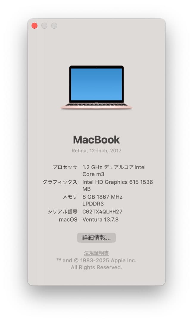 MacBook (Retina, 12-inch, 2017) 美中古品