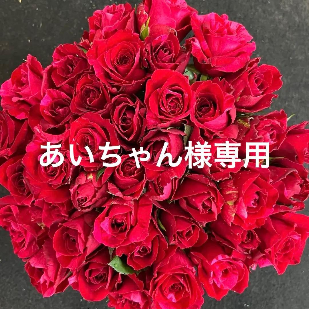 赤薔薇　バラ（切り花 ・生花）フルフル　30㎝SM　40本　産地直送❗️鮮度抜群❗️